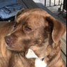 Edd Cheney's profile picture