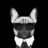 SamuelComoro's profile picture