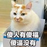 Фото профиля 乔季凉