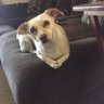 Gwen profil fotoğrafı