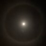 noiizyboy's profile picture