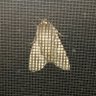 Noh Body's profile picture