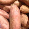 Фото профиля 🤬Ragin'🤬 🍠Sweet Potato🍠