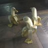 the_duck27 的头像