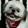 Фото профиля Happy Cloud