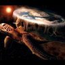Turtle with a flat earth on back profil fotoğrafı