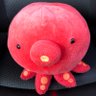 なすのたこのすけ's profile picture
