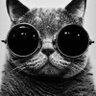 Adrian Rguez's profile picture