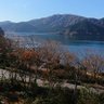 クレマチス profil fotoğrafı