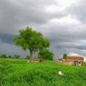 Фото профиля تمساح الدميرة