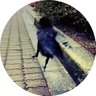 とり's profile picture