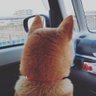 TAKUMA's profile picture