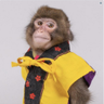 Profilbild von Stuart Wrennall