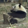 あきぱん 的头像