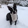 Sue Lassman's profile picture