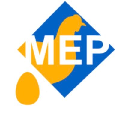 mep_expo's profile picture