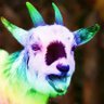 gravity's profile picture