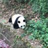 Profilbild von chen