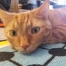 Profilbild von RealSweetBean
