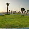 ابو سارة profil fotoğrafı