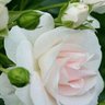 Фото профиля عزت عبد العاطي