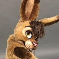 Toffi_bunny's profile picture