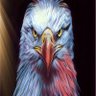 Фото профиля Egemen Kartal