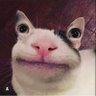 Aleehl.L.Alec's profile picture