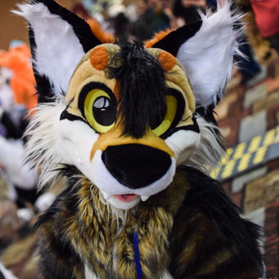 Tundru_DireWolf's profile picture
