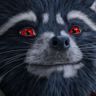 Towelyey 🦝 profil fotoğrafı