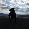 Profilbild von Sandy