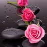 🌹Om Rayan 🌹's profile picture