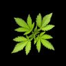 C420's profile picture