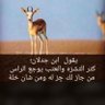 عــــAbdullahــلي profil fotoğrafı