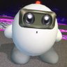 Cody Wolfe's profile picture