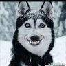 kk123's profile picture