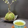 Фото профиля 穂高