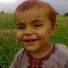 Mohammad Khan Majroh's profile picture