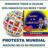 Freddy García's profile picture