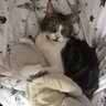 Charlie Farley profil fotoğrafı