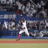 NMB 的头像