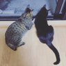 cici's profile picture