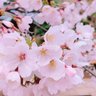まる profil fotoğrafı