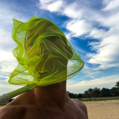 wachin's profile picture