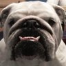 My Happy Face's profile picture