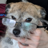 Profilbild von DoogyPoogy
