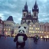 Фото профиля LordZwei