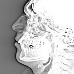 Yannay Spitzer's profile picture