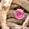 النوري profil fotoğrafı