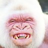 Rodney profil fotoğrafı